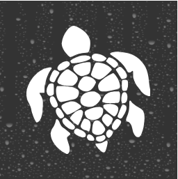 Turtle Decal