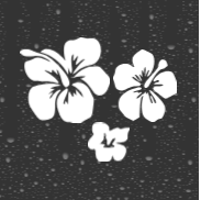 Hibiscus Decal – Tropical Vinyl Sticker for Car, Laptop, or Water Bottle